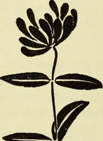 An illustration from Observations and suggestions on brushwork and colour study (1906)