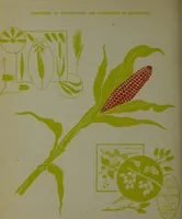Picture 51 of 57 from Observations and suggestions on brushwork and colour study (1906), leaf 115