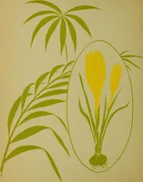Picture 53 of 57 from Observations and suggestions on brushwork and colour study (1906), leaf 119