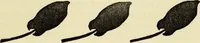 An illustration from Observations and suggestions on brushwork and colour study (1906)