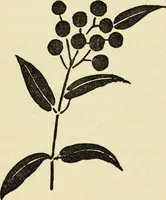 Picture 11 of 57 from Observations and suggestions on brushwork and colour study (1906), leaf 38