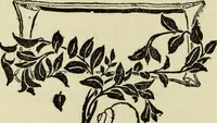 Picture 15 of 57 from Observations and suggestions on brushwork and colour study (1906), leaf 41