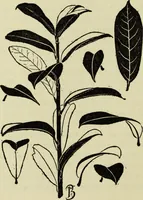 An illustration from Observations and suggestions on brushwork and colour study (1906)