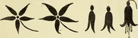 Picture 30 of 57 from Observations and suggestions on brushwork and colour study (1906), leaf 74