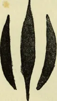 An illustration from Observations and suggestions on brushwork and colour study (1906)