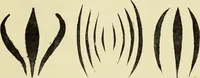 An illustration from Observations and suggestions on brushwork and colour study (1906)