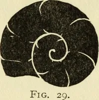An illustration from Observations and suggestions on brushwork and colour study (1906)