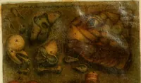 Picture 21 of 23 from Observations sur l'histoire naturelle, sur la physique et sur la peinture (1752), leaf 174