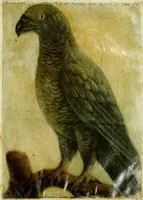 An illustration from Observations sur l'histoire naturelle, sur la physique et sur la peinture (1752)