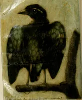 An illustration from Observations sur l'histoire naturelle, sur la physique et sur la peinture (1752)