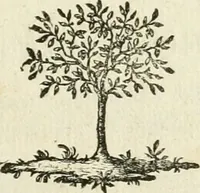An illustration from Observations sur l'histoire naturelle, sur la physique et sur la peinture (1752)
