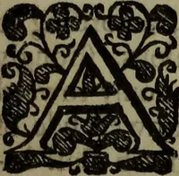 An illustration from Observations topographical, moral, & physiological; : made in a journey through part of the Low-countries, Germany, Italy, and France: with a catalogue of plants not native of England, found spontaneously growing in those parts, and their virtues. (1673)