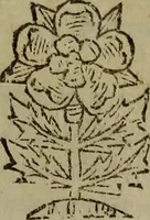 Picture 12 of 17 from Observations topographical, moral, & physiological; : made in a journey through part of the Low-countries, Germany, Italy, and France: with a catalogue of plants not native of England, found spontaneously growing in those parts, and their virtues. (1673), leaf 532