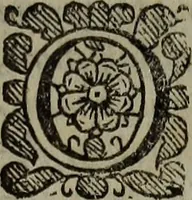 Picture 13 of 17 from Observations topographical, moral, & physiological; : made in a journey through part of the Low-countries, Germany, Italy, and France: with a catalogue of plants not native of England, found spontaneously growing in those parts, and their virtues. (1673), leaf 534