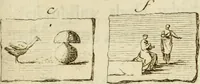 An illustration from Observations upon the antiquities of the town of Herculaneum, discovered at the foot of Mount Vesuvius : with some reflections on the painting and sculpture of the ancients : and a short description of the antiquities in the neighbourhood of Naples (1754)