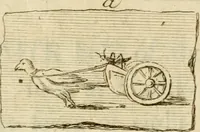 An illustration from Observations upon the antiquities of the town of Herculaneum, discovered at the foot of Mount Vesuvius : with some reflections on the painting and sculpture of the ancients : and a short description of the antiquities in the neighbourhood of Naples (1754)