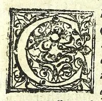 An illustration from Observationum medicarum Castrensium Hungaricarum decades tres. (1685)