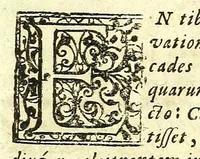 An illustration from Observationum medicarum Castrensium Hungaricarum decades tres. (1685)