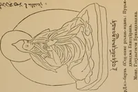 Picture 43 of 103 from Obzor sobraniia predmetov lamaskago kul'ta kn. .. Ukhtomskago (1905), leaf 190