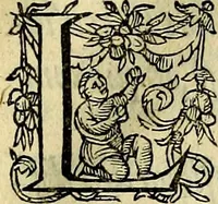 Picture 3 of 38 from Occasio Arrepta. Neglecta. Hvivs Commode; Illivs incommoda (1605), leaf 12