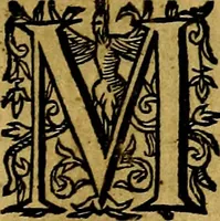 Picture 24 of 38 from Occasio Arrepta. Neglecta. Hvivs Commode; Illivs incommoda (1605), leaf 164