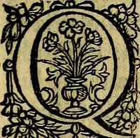Picture 29 of 38 from Occasio Arrepta. Neglecta. Hvivs Commode; Illivs incommoda (1605), leaf 218