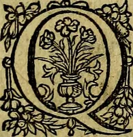 Picture 34 of 38 from Occasio Arrepta. Neglecta. Hvivs Commode; Illivs incommoda (1605), leaf 266