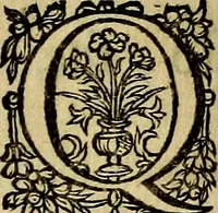 Picture 37 of 38 from Occasio Arrepta. Neglecta. Hvivs Commode; Illivs incommoda (1605), leaf 296