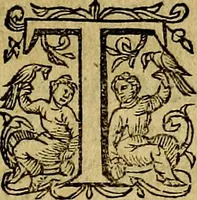 Picture 7 of 38 from Occasio Arrepta. Neglecta. Hvivs Commode; Illivs incommoda (1605), leaf 34