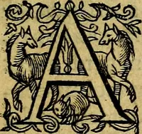 Picture 10 of 38 from Occasio Arrepta. Neglecta. Hvivs Commode; Illivs incommoda (1605), leaf 60