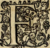 Picture 2 of 38 from Occasio Arrepta. Neglecta. Hvivs Commode; Illivs incommoda (1605), leaf 7