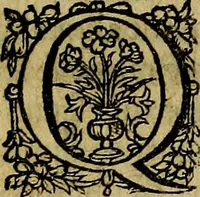 Picture 16 of 38 from Occasio Arrepta. Neglecta. Hvivs Commode; Illivs incommoda (1605), leaf 94