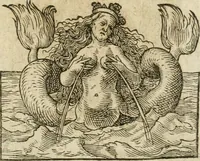 An illustration from Occvlta philosophia : von den verborgenen philosophischen Geheimnussen der heimlichen Goldblumen vnd lapidis philosophorum, was derselbige, vnd wie zu Erlangung dessen zu procediren, aussführlicher Bericht in einem philosophischen Gespräch verfasset : sampt der Schmaragd Taffel, Paraboln, symbolis, vnd 18. sonderbaren Figuren der hochberühmten Philosophen Hermetis Trismegisti vnd F. Basilii Valentini durch welche diese Kunst der philosophischen Goldblumen vollkomlich erkläret an Tag gegeben (1613)