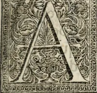 Picture 9 of 20 from O ceo aberto na terra : historia das sagradas congregações dos conegos seculares de S. Jorge em Alga de Venesa, & de S. Joaõ Evangelista em Portugal (1697), leaf 28