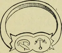 Picture 40 of 249 from Ocherki pamiatnikov khristiansko ikonografi i iskusstva (1900), leaf 114