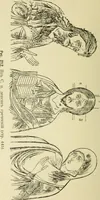 An illustration from Ocherki pamiatnikov khristiansko ikonografi i iskusstva (1900)