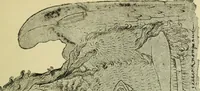 An illustration from Ocherki pamiatnikov khristiansko ikonografi i iskusstva (1900)