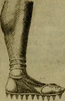 An illustration from Octauij Ferrarij Analecta de re vestiaria, siue, Exercitationes ad Alberti Rubenij Commentarium de re vestiaria, & lato clauo : accessit Dissertatio de veterum lucernis sepulchralibus (1670)