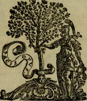 An illustration from Octauij Ferrarij Analecta de re vestiaria, siue, Exercitationes ad Alberti Rubenij Commentarium de re vestiaria, & lato clauo : accessit Dissertatio de veterum lucernis sepulchralibus (1670)