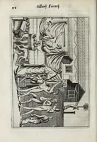 Picture 15 of 39 from Octavii Ferrari de re vestiaria, libri septem : quatuor postremi nunc primum prodeunt : reliqui emendatiores & auctiores .. (1654), leaf 126