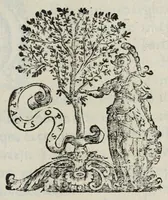 An illustration from Octavii Ferrari de re vestiaria, libri septem : quatuor postremi nunc primum prodeunt : reliqui emendatiores & auctiores .. (1654)