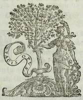 An illustration from Octavii Ferrarii De re vestiaria libri tres (1642)