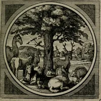 An illustration from Octoginta emblemata moralia nova : e sacris literis petita, formandis ad veram pietatem accommodata, & elegantibus picturis aeri incisis repraesentata (1630)