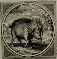 An illustration from Octoginta emblemata moralia nova : e sacris literis petita, formandis ad veram pietatem accommodata, & elegantibus picturis aeri incisis repraesentata (1630)