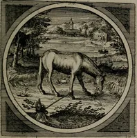 Picture 17 of 76 from Octoginta emblemata moralia nova : e sacris literis petita, formandis ad veram pietatem accommodata, & elegantibus picturis aeri incisis repraesentata (1630), leaf 76