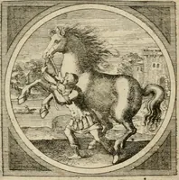 An illustration from Octoginta emblemata moralia nova, e sacris literis petita, formandis ad veram pietatem accommodata, & elegantibus picturis aeri incisis repraesentata (1630)