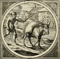 An illustration from Octoginta emblemata moralia nova, e sacris literis petita, formandis ad veram pietatem accommodata, & elegantibus picturis aeri incisis repraesentata (1630)