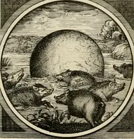 Picture 78 of 84 from Octoginta emblemata moralia nova, e sacris literis petita, formandis ad veram pietatem accommodata, & elegantibus picturis aeri incisis repraesentata (1630), leaf 330