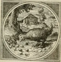 An illustration from Octoginta emblemata moralia nova, e sacris literis petita, formandis ad veram pietatem accommodata, & elegantibus picturis aeri incisis repraesentata (1630)