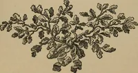 An illustration from Starye gody (1907)